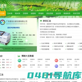 博朗咨询