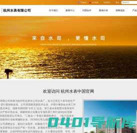 杭州水表公司-电磁-智能-超声波水表-可拆式-有线远传水表-水表箱