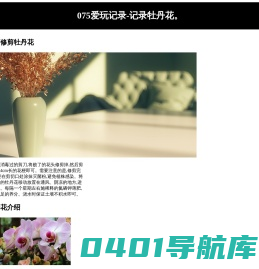 075爱玩记录-牡丹花谢了花梗怎么剪