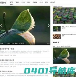 柑普网 | 柑普茶文化交流平台