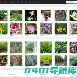 花卉_花卉绿植_花卉大全-爱花网
