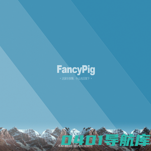 啤挺网络