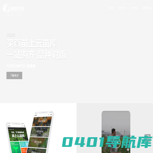 油茶苗_果树苗_茶叶苗_绿化苗_梨树苗_求购油茶苗_种苗价格_湘移农林
