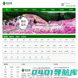 福禄考_福禄考价格_辽宁核心花卉种植合作社官网