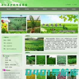 沙地柏_沙地柏价格_沙地柏小苗_曲阳县沙地柏苗圃场