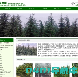 雪松_雪松价格_雪松小苗_雪松基地--南京跨世纪雪松苗圃场