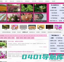 爱养花iYangHua_花卉网_养花知识_花卉图片大全_花卉图片及名称大全