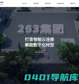263集团