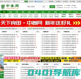 中姜网_生姜价格,生姜行情,生姜供求,大姜价格行情,生姜种植技术等信息平台