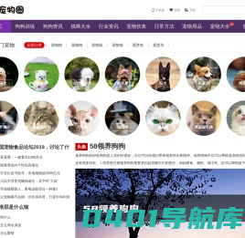 宠物吧 - 专注于宠物猫咪美容护理宠物狗狗训练教程