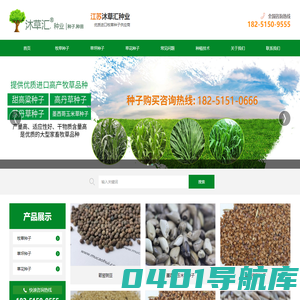 「牧草种子公司」批发种子 养殖牛羊畜牧专用品种草籽-沐草汇园林网