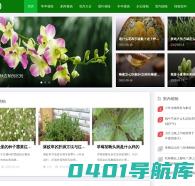养花知识大全|家庭养花大全|绿植盆栽养殖技巧--养花网