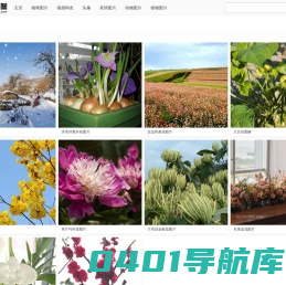 冒美图_猫美图_唯美可爱生活图片_头像图片