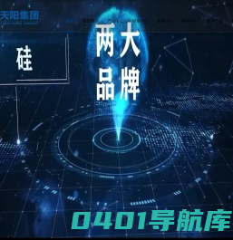 天阳集团