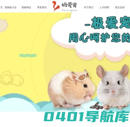 蜜袋鼯图片_宠物松鼠品种及价格_养仓鼠知识大全_极爱宠网