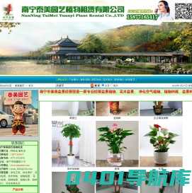 28南宁泰美盆景租赁,绿植租赁,花木租赁,南宁花卉租摆,植物租赁,绿植租摆,绿植养护,办公室绿化养护  首页