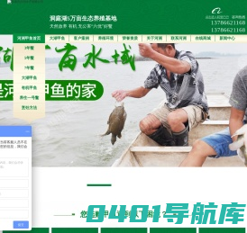 甲鱼_甲鱼苗_批发_仿野生甲鱼_养殖_销售_常德市鼎城区河洲龟鳖专业合作社【河洲甲鱼】
