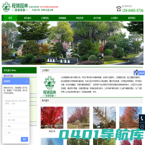 绿化苗木_最新苗木价格表_合欢_银杏_樱花_白蜡_美国红枫-山东程锦绿化苗木有限公司