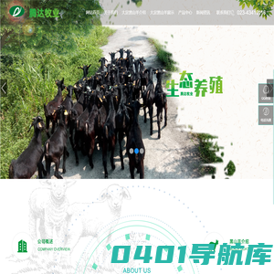 重庆腾达牧业有限公司_大足黑山羊,黑山羊,烤全羊
