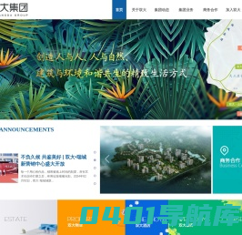 海南双大集团