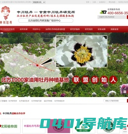 牡丹籽油_油用牡丹种植技术_牡丹花茶_油用牡丹深加工产品研发