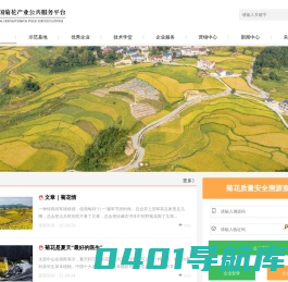 中国菊花产业公共服务平台