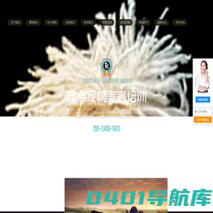 晶点宠物美容培训学校 - 沈阳宠物美容师培训学校