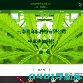 首页 - 云南喜麻麻种植有限公司