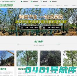 荆州市绿梅园林绿化有限公司