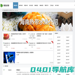 海南特产_海南土特产_椰岛农事