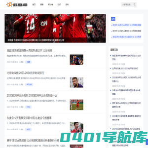 诚泓智体球网