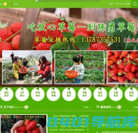 郴州草莓园 郴州哪里有草莓摘 郴州摘草莓到陈勇草莓园 华塘侯家草莓园 奶油草莓园