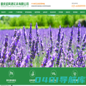 重庆迎风扬花卉有限公司-重庆花卉种植-重庆户外鲜花种植-重庆野花种植-重庆观赏草种植-重庆花海打造 咨询电话：18996116666