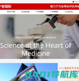 中智国际
