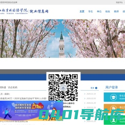 浙江越秀外国语学院就业信息网