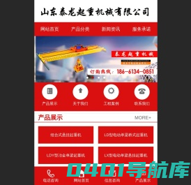 山东泰龙起重机械有限公司