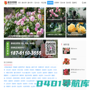 藤本月季网-月季知识分享网站-月季苗批发基地