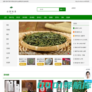 山里向茶