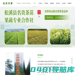 松溪县名贵茶苗果蔬专业合作社|名贵茶苗果蔬专业合作社【官网】