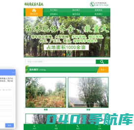 益阳市资阳区强盛苗木基地_益阳香樟|益阳桂花|广玉兰哪里的好