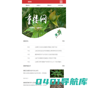 重楼的功效与作用-重楼种植技术-重楼网