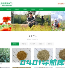 大庄绿宝园林网-进口草坪种子-草花卉种子-沭阳县三点水商贸有限公司