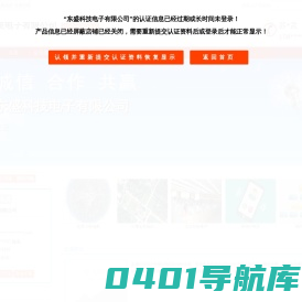 东盛科技电子有限公司