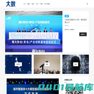 大数网