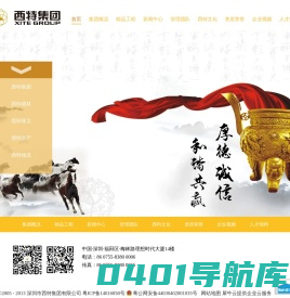 深圳市西特集团有限公司