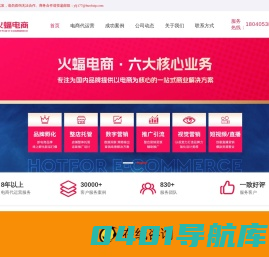 杭州火蝠电商_京东代运营_拼多多全托管代运营【天猫代运营】