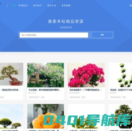 WSP植物百科网-花卉知识|花语大全|植物大全|家庭养花技巧|多肉植物品种种植和养花知识