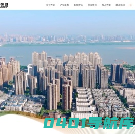 大华集团-大华集团有限公司