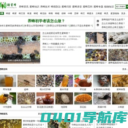 酷蜜蜂 - 您身边的养蜂专家！