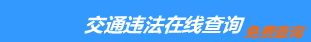（手机版）泸州交通违章查询-泸州违章查询网